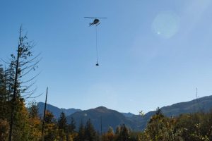 Em 2023, uma tribo encheu 90 paletes de madeira com terra, árvores e arbustos, lançou tudo de helicóptero dentro de um pântano e criou 90 ilhas de mata para sufocar o capim invasor que estava expulsando o salmão