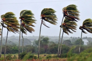 Goiás pode enfrentar ventos fortes, vendavais.