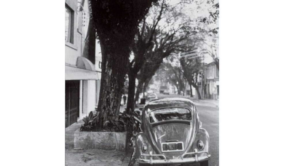 história da Natura