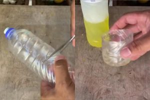 Não é inseticida, nem repelente: como eliminar mosquitos e pernilongos de casa com uma misturinha caseira simples