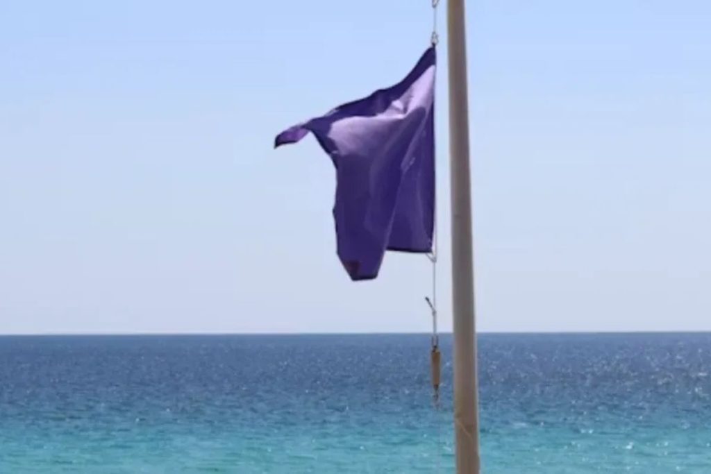 O que significam as bandeiras roxas na areia da praia, segundo os salva-vidas