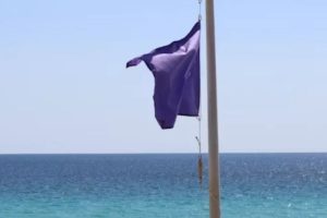 O que significam as bandeiras roxas na areia da praia, segundo os salva-vidas