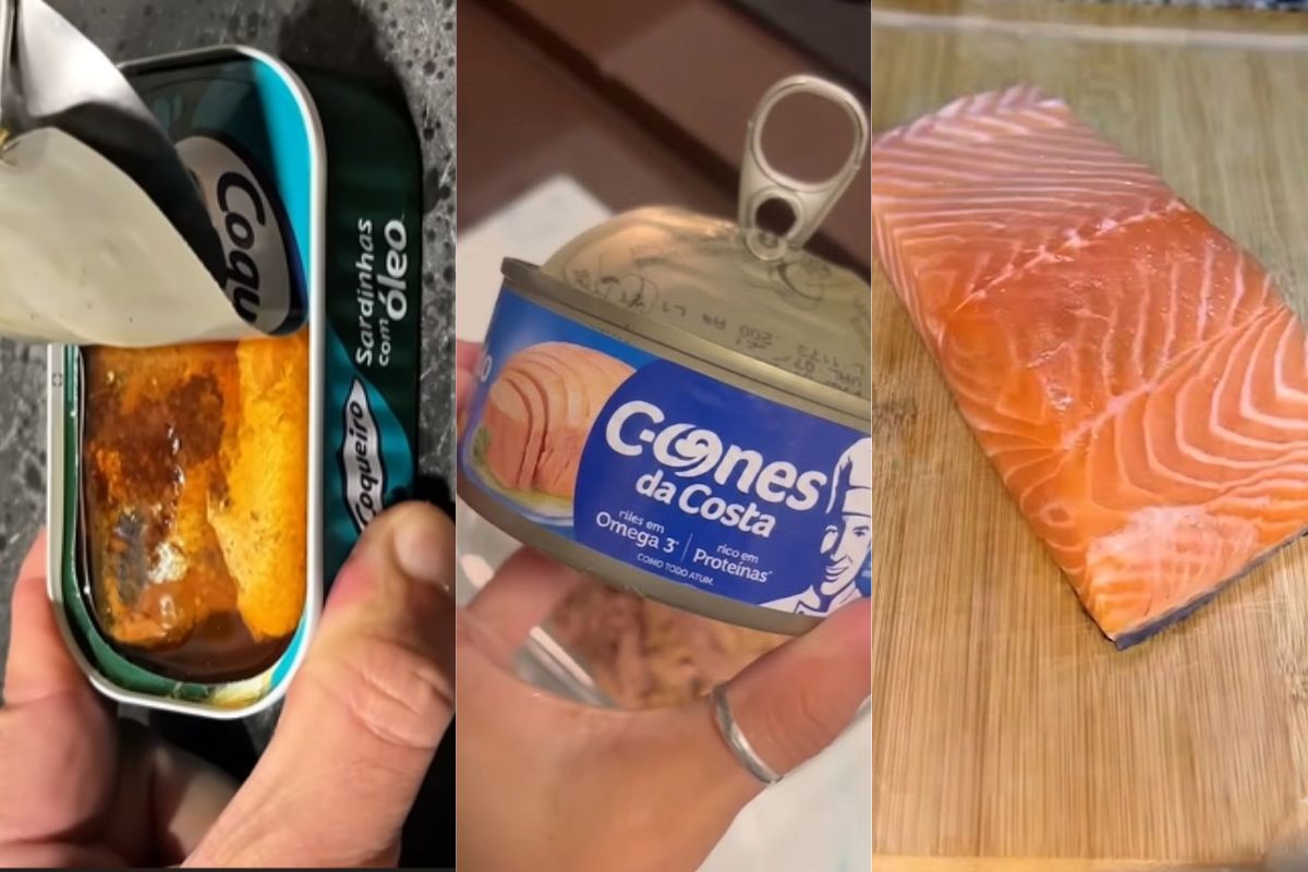 Entre sardinha, atum e salmão, qual é o melhor peixe enlatado? A resposta depende dos nutrientes, do preço e da composição da conserva