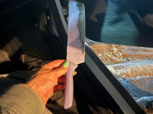 “Puta, vagabunda”: confusão por som alto termina com policiais agredidos e quatro presos em Anápolis