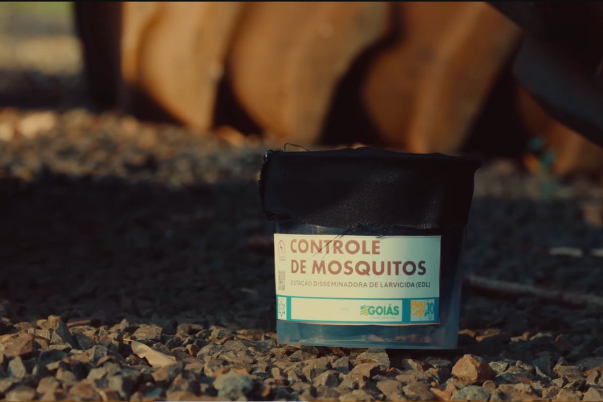 Estações Disseminadoras de Larvicidas (EDL) que atraem a fêmea do mosquito