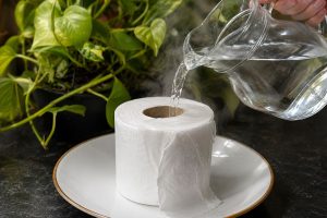papel higiênico na água quente