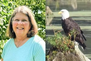 Aos 26 anos, bióloga criou sozinha sete filhotes de águia numa plataforma no meio de um lago, escondida para que as aves nunca perdessem o medo de gente, e uma das aves que soltou viveu 38 anos e gerou cerca de 70 filhotes