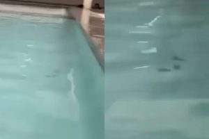 Piscina de parque aquático é interditada após fezes serem encontradas na água em Caldas Novas