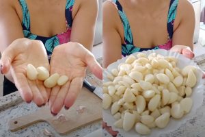 alhos descascados de um jeito fácil