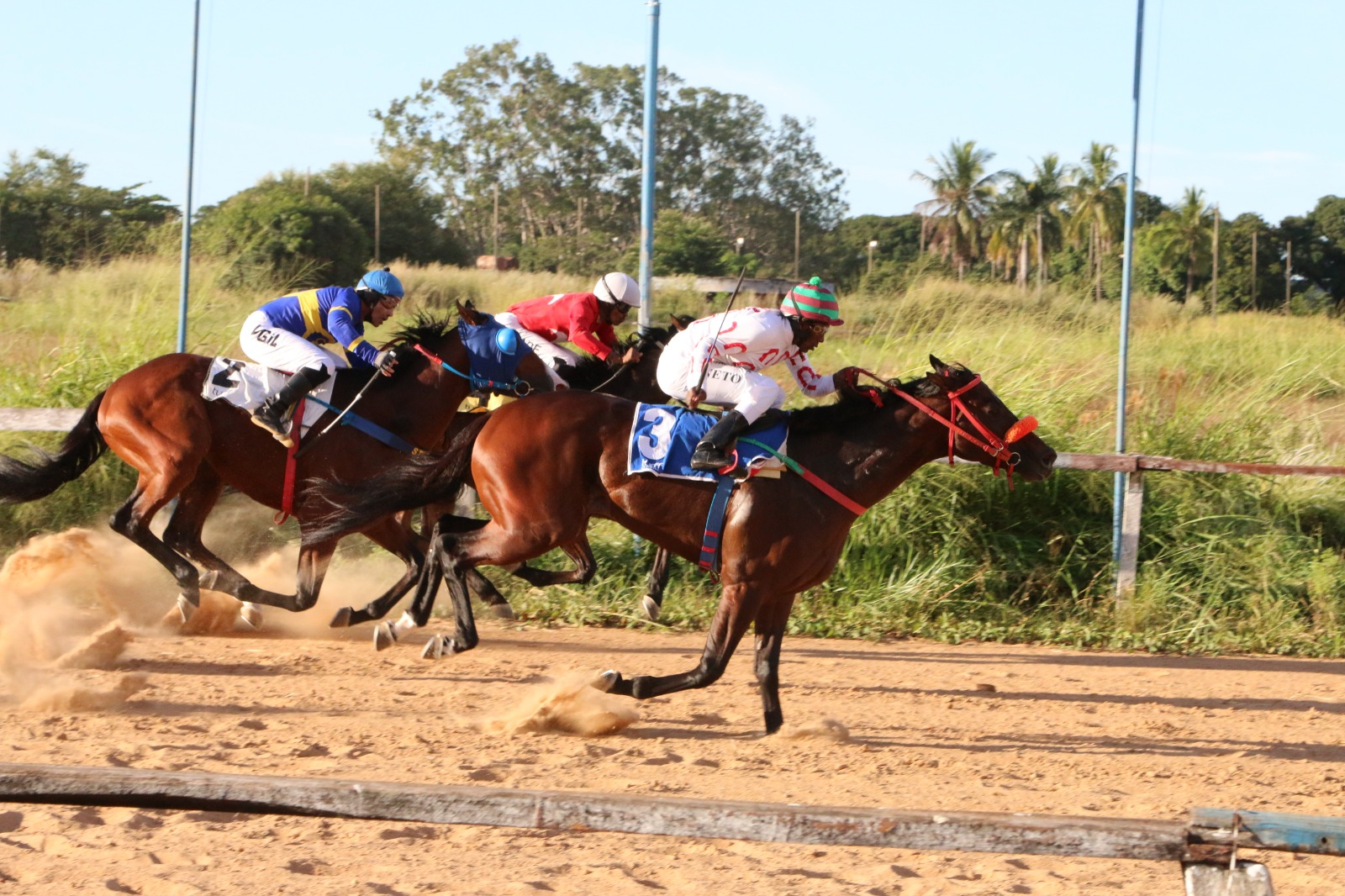 Hipódromo da Lagoinha poderá voltar a receber corridas após decisão favorável ao Jóquei Clube de Goiás. (Foto: Divulgação)