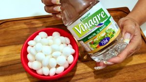 naftalina e vinagre