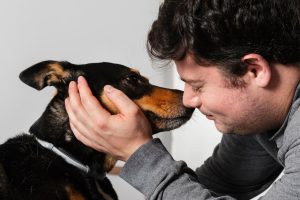 Os cães gostam de ser acariciados