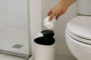 onde jogar papel higiênico