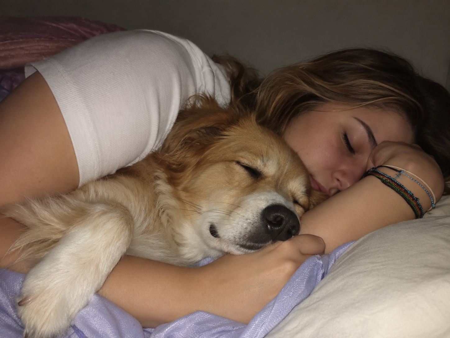Enrique Molina, profissional reconhecido: “Não é aconselhável dormir junto com os cachorros, pois isso…”