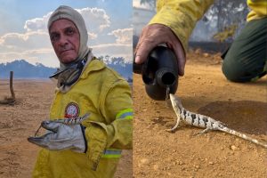 Registros publicados pelos brigadistas Rosevir de Melo e Rodrigo Vieira mostram a atuação das equipes durante o combate ao incêndio no Parque Estadual Terra Ronca, em Goiás. (Foto: Reprodução/@terra_ronca_goias/@rosevir_guia_terraronca)