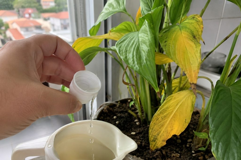 vinagre nas plantas folhas