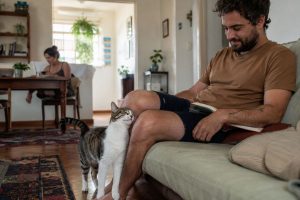 relação entre gatos e tutores