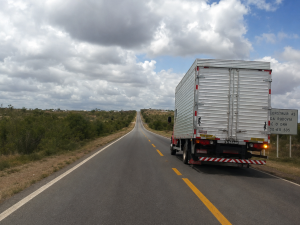 Caminhão / Seta / Rodovia