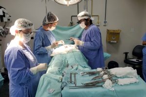 Cirurgias eletivas saltam 1.545% nos últimos sete anos com expansão da saúde em Goiás