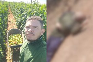trabalhador foi morto enquanto trabalhava no interior de Goiás