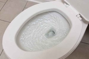 limpeza de vaso sanitário
