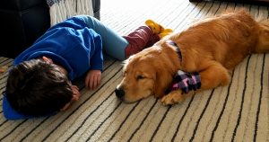 cachorro brincando com a criança