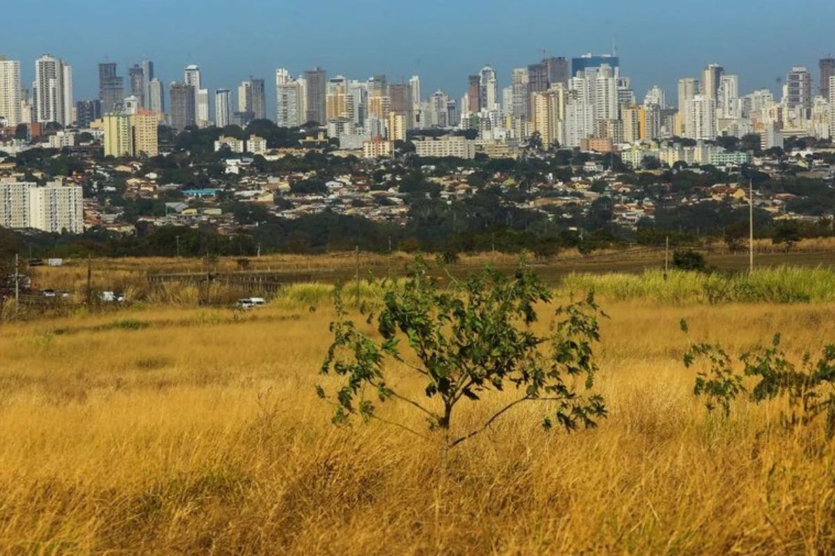 Condições para chuva diminuem novamente, enquanto as temperaturas sobem e a umidade relativa do ar cai durante a tarde. (Foto: Secom/Goiás)