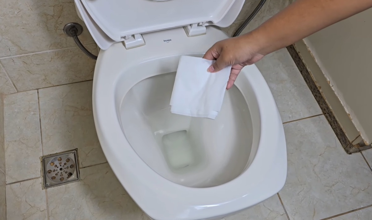 Jogar o papel higiênico no vaso ou na lixeira: veja qual é a forma mais correta e higiênica de descartar em casa