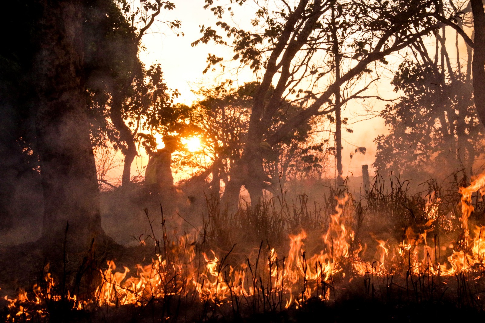 Prevenir incêndios é prioridade durante período de seca em Goiás