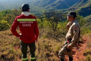 Goiás alia planejamento estratégico e engajamento comunitário para proteger o Cerrado