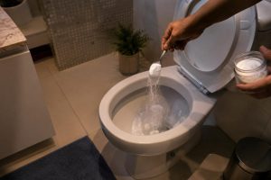 bicarbonato no vaso sanitário