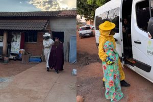 Ataque de abelhas deixa cerca de 40 pessoas feridas em Piracanjuba; duas são levadas ao hospital