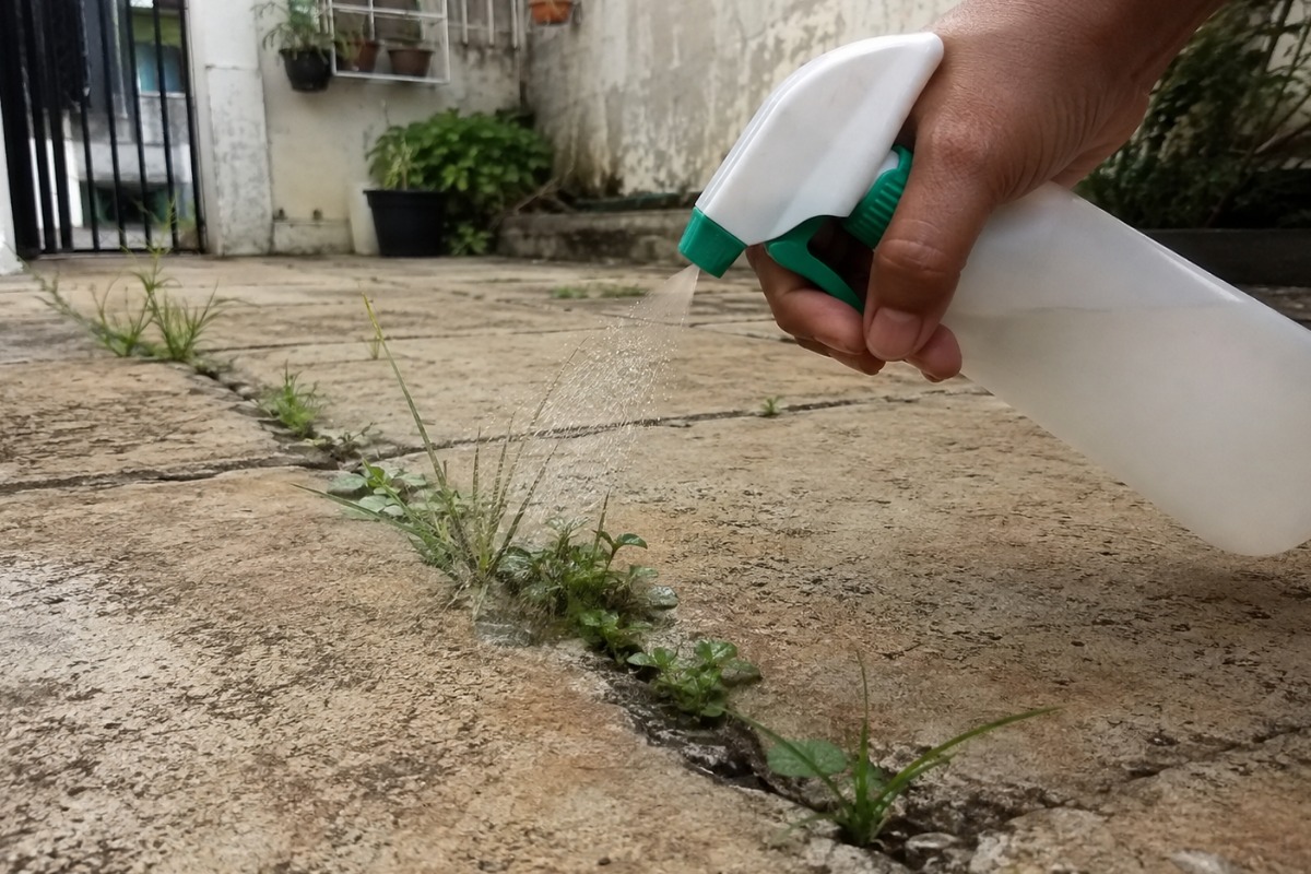 Pessoa borrifando mistura caseira sobre mato que cresce entre frestas do piso
