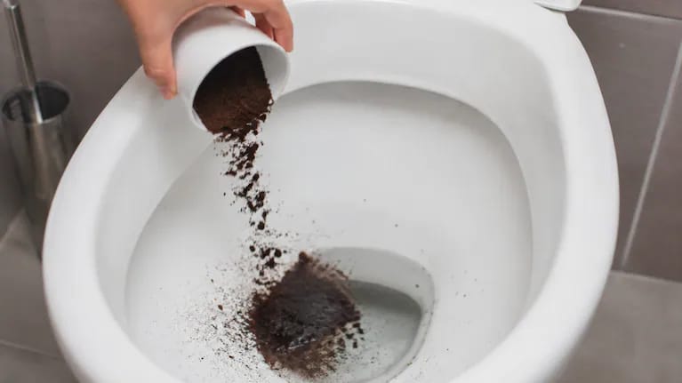 borra de café sendo jogada no vaso sanitário