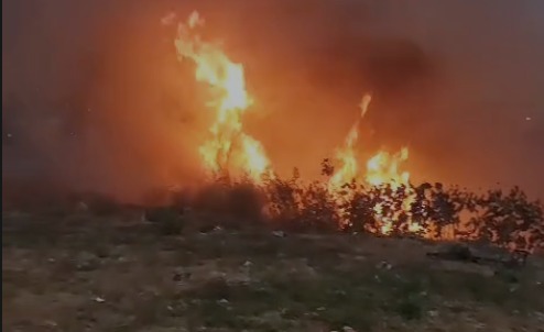 Fogo atinge lote baldio em Anápolis e moradores temem explosão de carro: “Socorro”