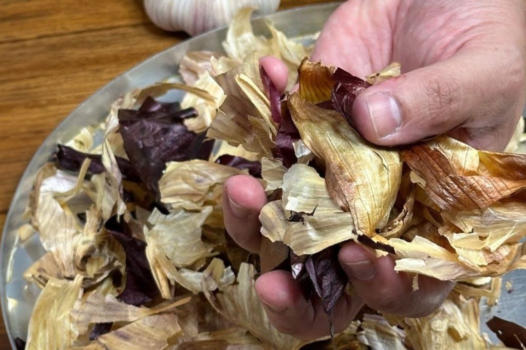 cascas de cebola e alho