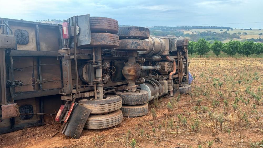 Caminhão carregado de soja tombado às margens da GO-222.(Foto: Divulgação)