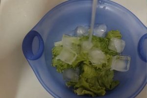 alface com gelo e água