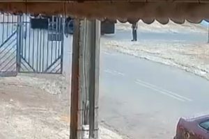 Vídeo: idoso morre após ser atropelado por caminhão durante manobra de ré em Anápolis