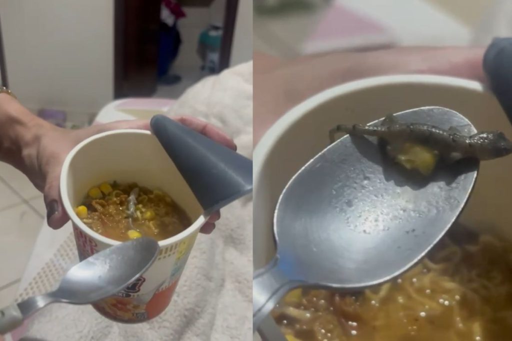 Mulher que encontrou lagartixa dentro de copo de macarrão instantâneo vai receber indenização em Goiás