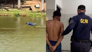 Homem foi preso após mergulhar em lago de Goiânia e desacatar ordens de sair.