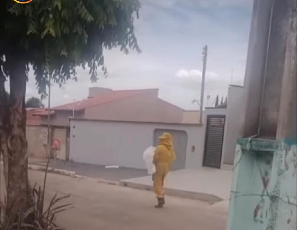 Enxame de abelhas força evacuação de igreja, bloqueia ruas e mata cachorro em Caldas Novas
