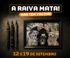 Publicidade