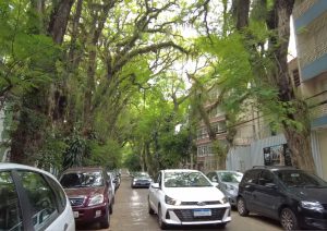 Rua são gonçalo porto alegre