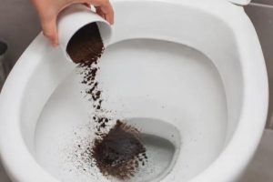 Borra de café