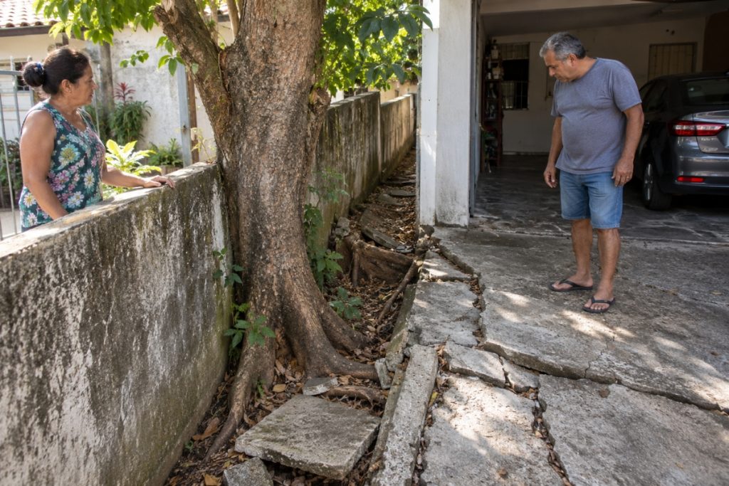 Raiz da árvore do vizinho levantou o piso da garagem: quem deve pagar o conserto?