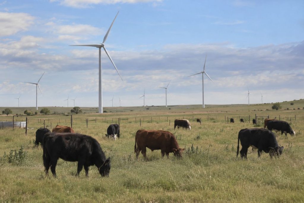 criação de gados e produção de energia eólica