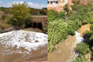Espuma foi registrada em trecho do Rio das Antas próximo à GO-560, na região de Joanápolis, em Anápolis. (Foto: Reprodução/Portal 6)