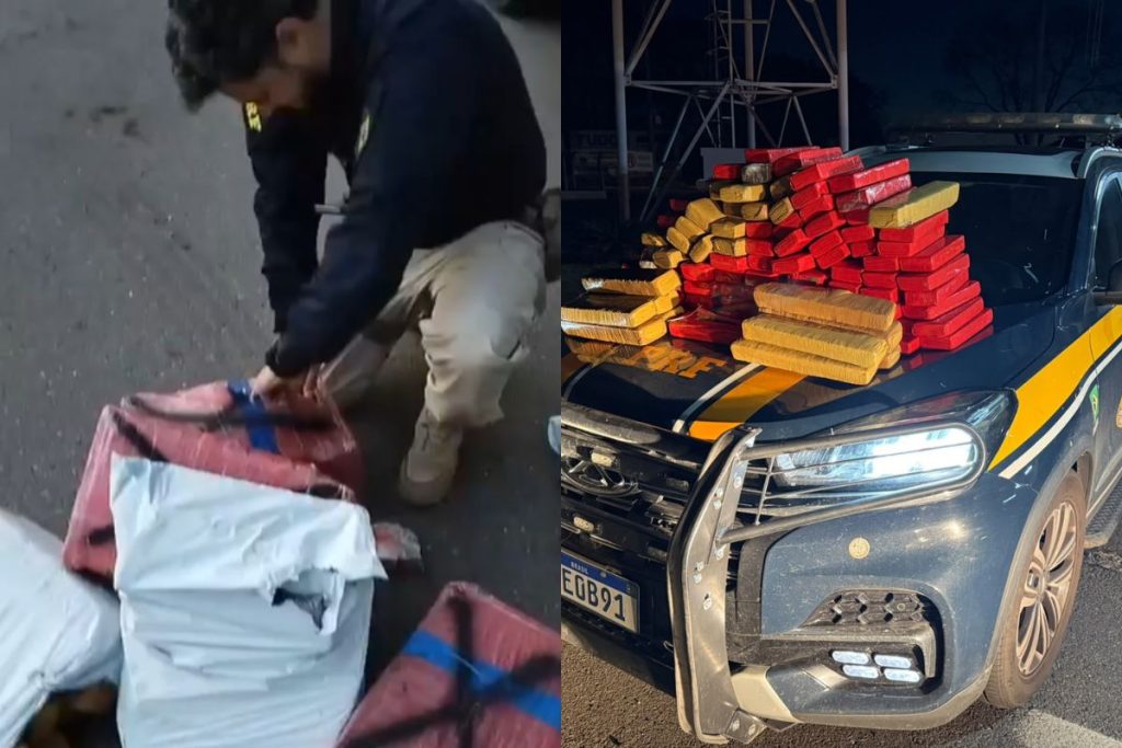 Jovem é preso após PRF descobrir o que ele levava para Goiânia escondido em carro transportado por caminhão-cegonha