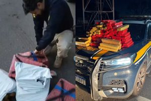 Jovem é preso após PRF descobrir o que ele levava para Goiânia escondido em carro transportado por caminhão-cegonha